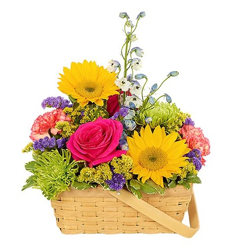 SunShine In A Basket