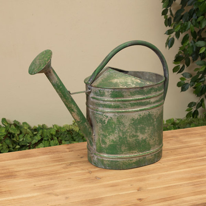 Decorative Metal Watering Can