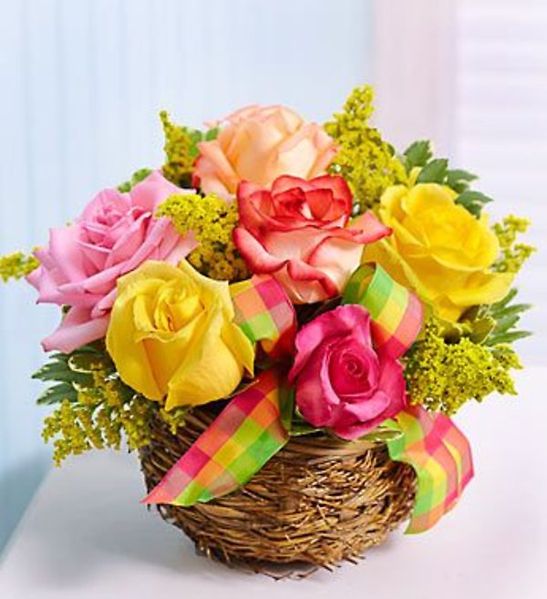 Easter Egg Roses