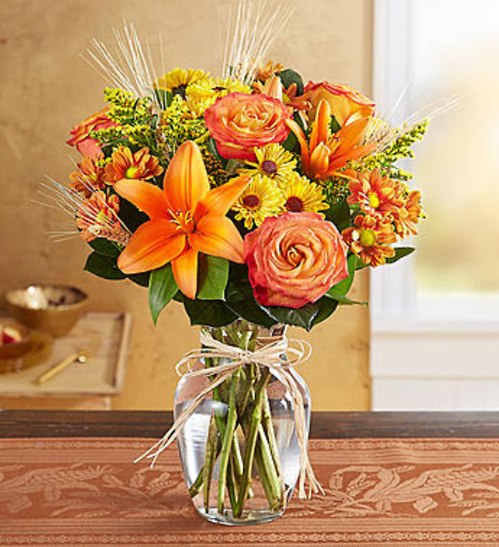 Fields of Europe for Fall