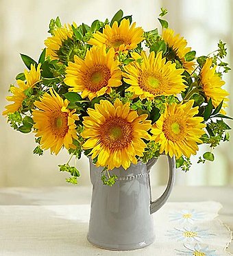 Pitcher of Sunflowers