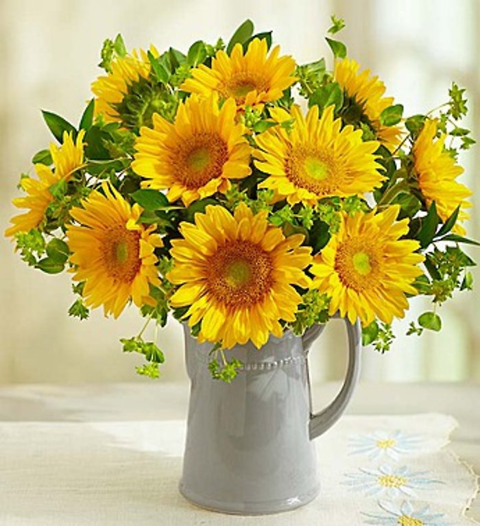 Pitcher of Sunflowers