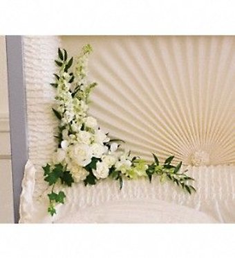 Moonlit Walk Casket Insert