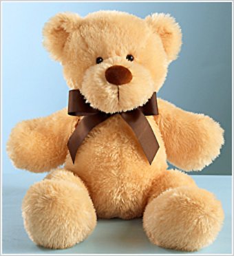 Large Brown Bear