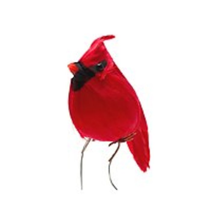 Cardinal Pic