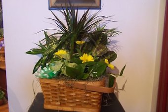 Planter in splitwood basket