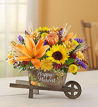 Happy Harvest Wheelbarrow