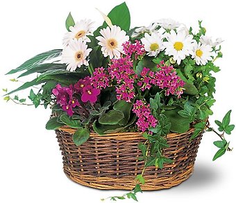 Traditional European Garden Basket