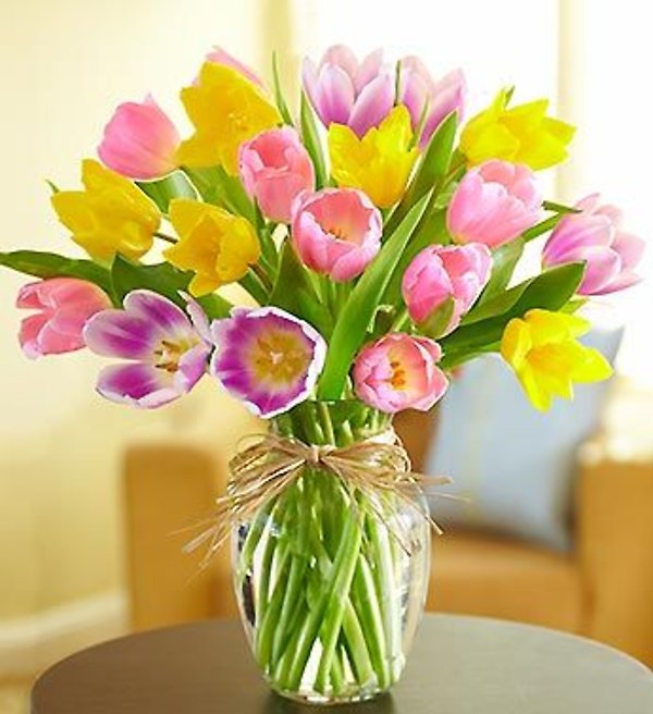 Timeless Tulips