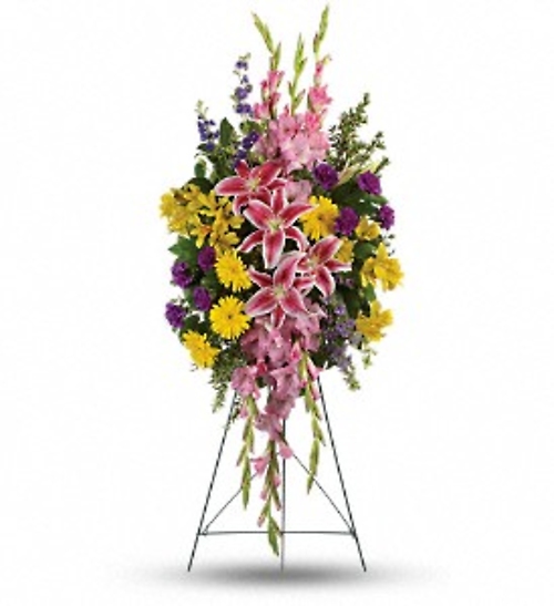 Rainbow Of Remembrance Spray