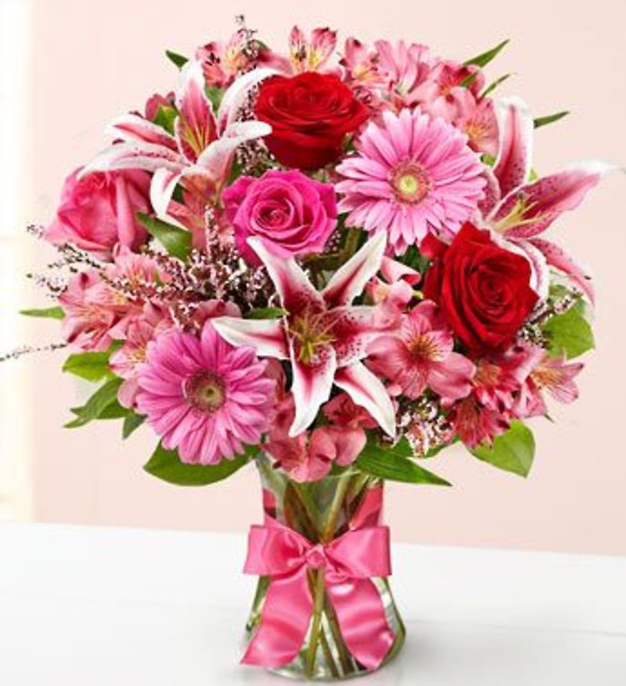 Fields of Europe Romance