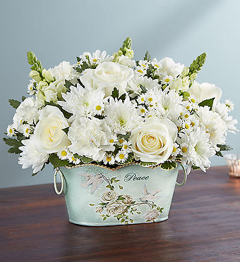 Peace and Healing All White