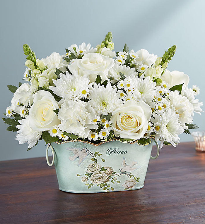 Peace and Healing All White