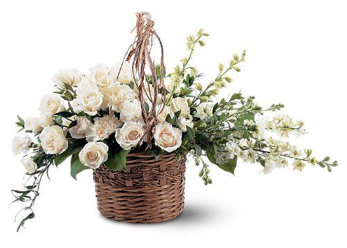 Basket of Light TF