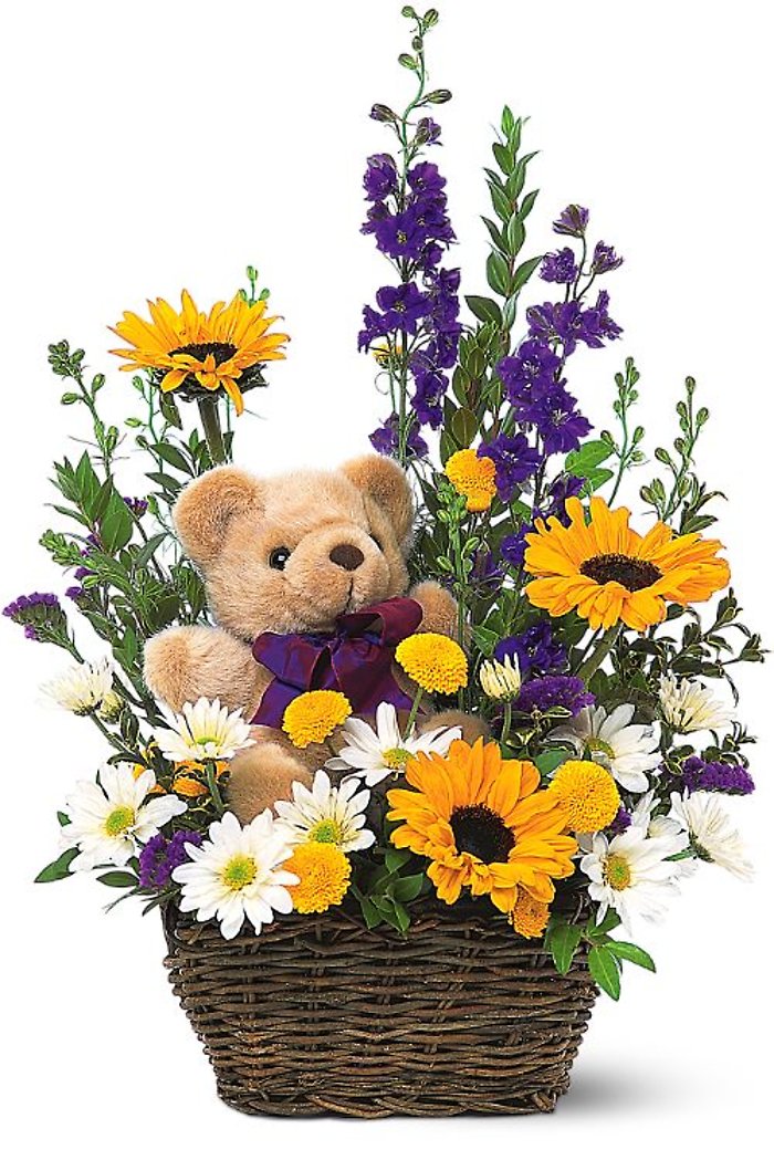 Basket & Bear Arrangement TF
