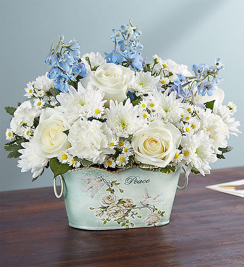 Peace And Healing Blue & White