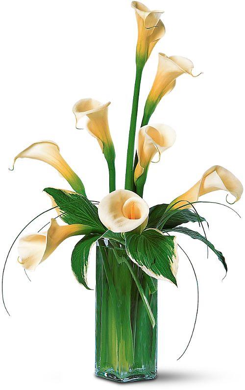 Funeral Home Arrangements