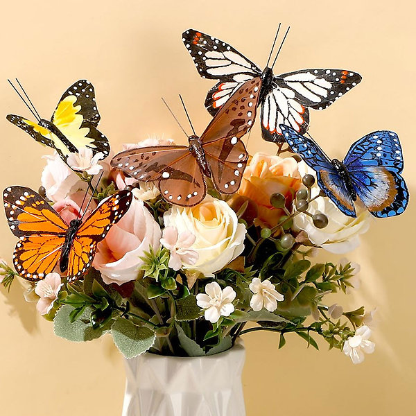 1 Butterfly Pic