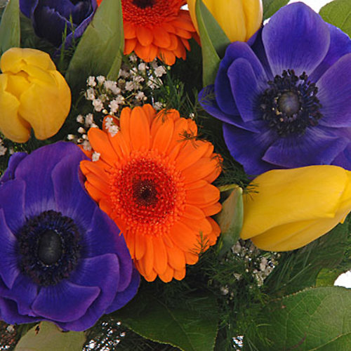 Florist Choice