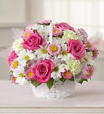 New Baby Girl basket