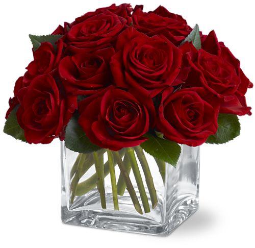 Dozen Rose Contempo TF