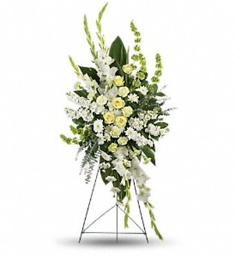 Magnificent Life Spray