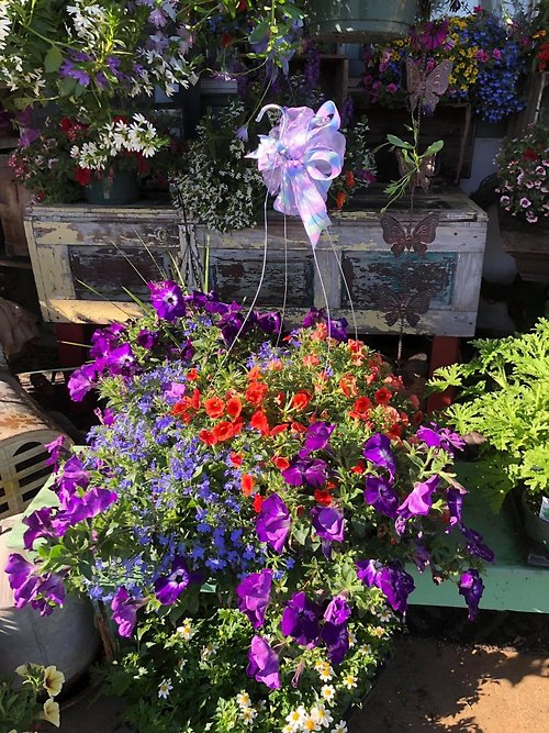 Large Mixed Hanging Basket