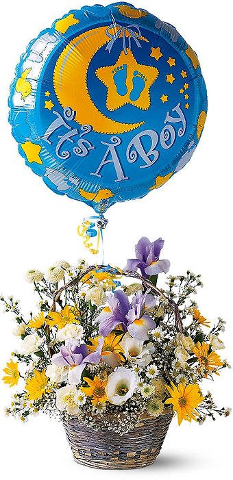 It\'s a Boy! Basket TF