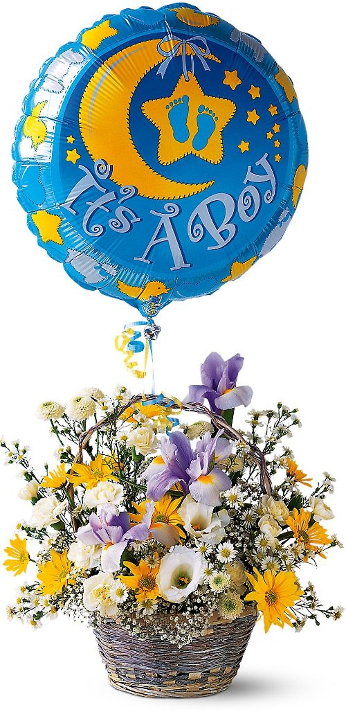 It\'s a Boy! Basket TF