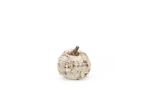 4 Inch Birch Pumpkin w/Brown Stem